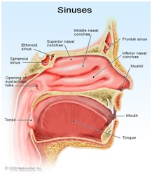 Pediatric Sinus Rinse Review - NeilMed Blog